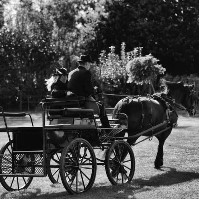 Balade en voiture d’attelage
