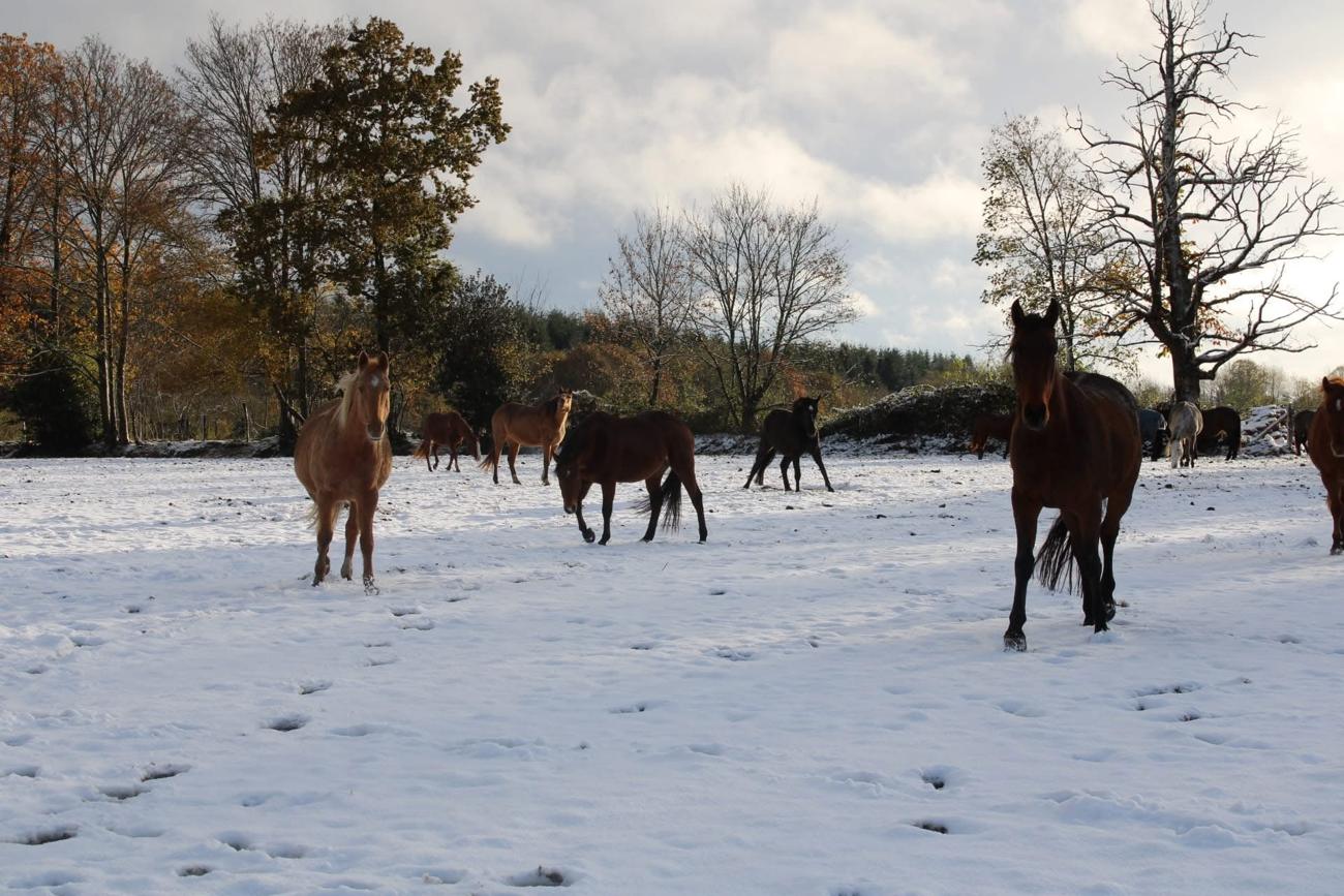 Photo du centre équestre La Chevauchée